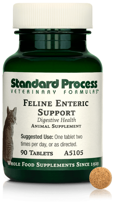 Feline Enteric Support, 90 Tablets