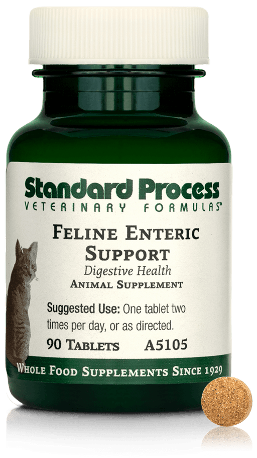 Feline Enteric Support, 90 Tablets