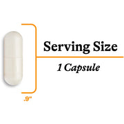 Acetyl-L-Carnitine (90 Capsules)