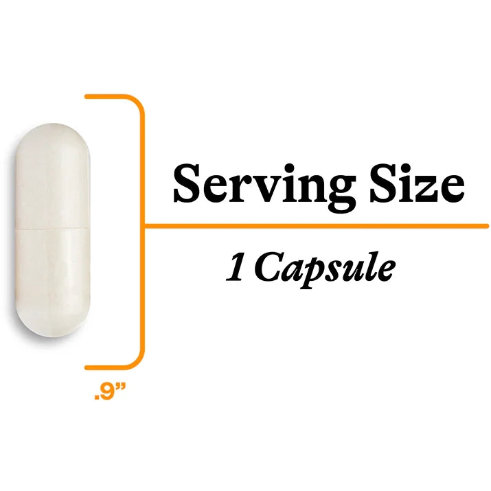 Acetyl-L-Carnitine (90 Capsules)