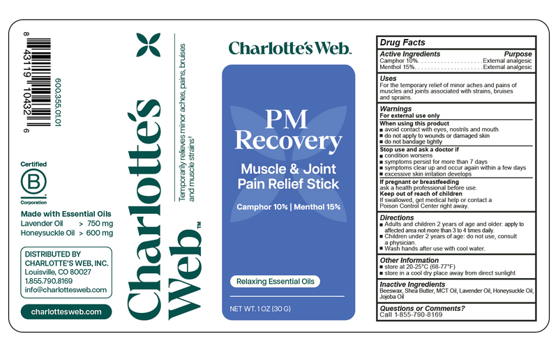 PM Recovery Muscle & Joint Pain Relief Stick (1 Ounce) (30 Grams)