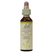 Chestnut Bud Original Flower Remedy (20 ml)