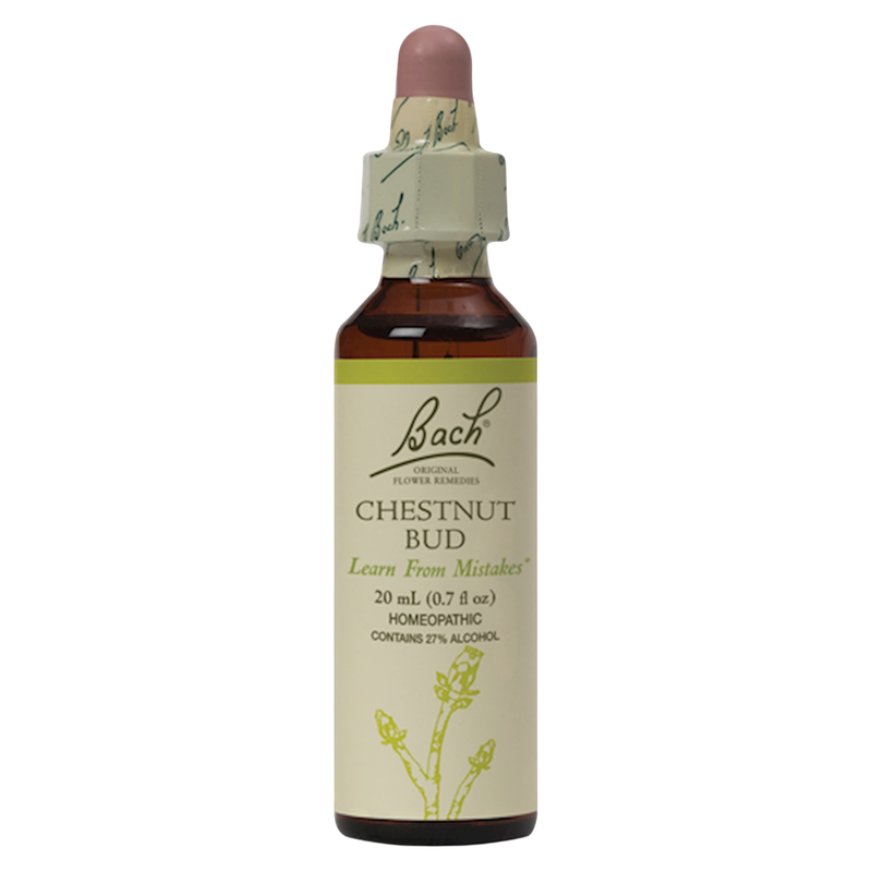 Chestnut Bud Original Flower Remedy (20 ml)