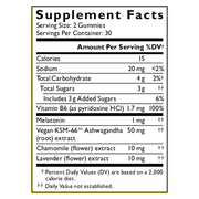 RESCUE Plus Sleep & Stress Support Gummies Blueberry (60 Gummies)