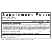 SBO Probiotic 100 (90 Capsules)