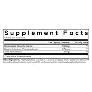 Liposomal Nicotinamide Riboside+ (60 Capsules)