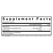 Akkermansia (90 Capsules)