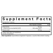 Akkermansia 500 Ultra (90 Capsules)