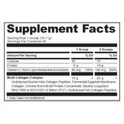 Multi Collagen Protein, Unflavored (454 g)