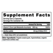 Vitamin C + Probiotics (60 Capsules)