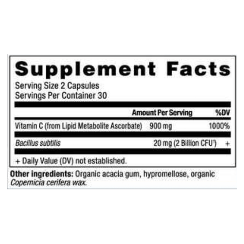Vitamin C + Probiotics (60 Capsules)