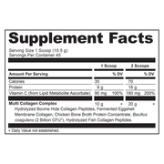 Multi Collagen Protein Vanilla (472 g)