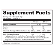 Multi Collagen Protein Strawberry Lemonade (513 g)