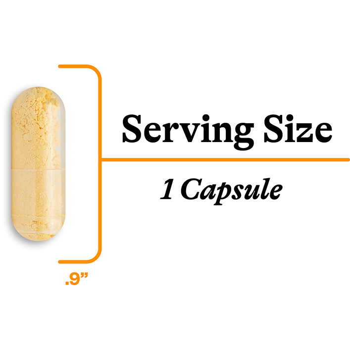 Optimal CoQ10 (60 Capsules)