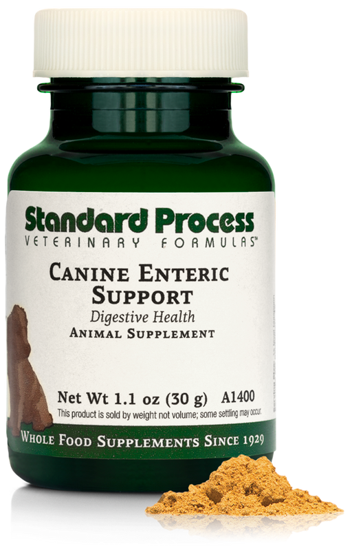 Canine Enteric Support, 1.1 oz (30 g)