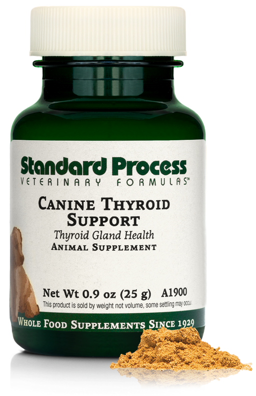 Canine Thyroid Support, 0.9 oz (25 g)