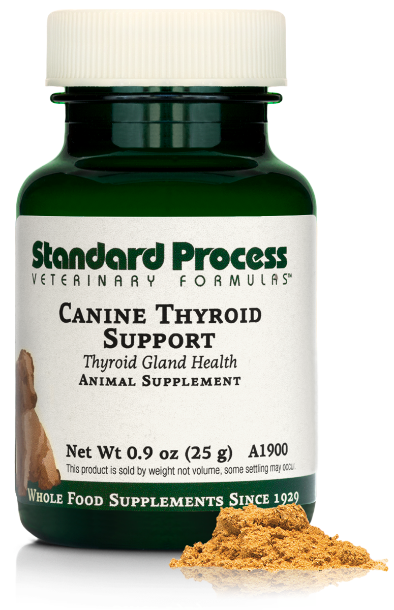 Canine Thyroid Support, 0.9 oz (25 g)