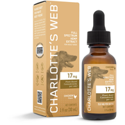 CBD Oil for Dogs
