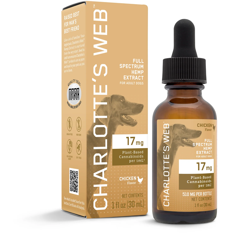 CBD Oil for Dogs
