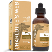 CBD Oil for Dogs