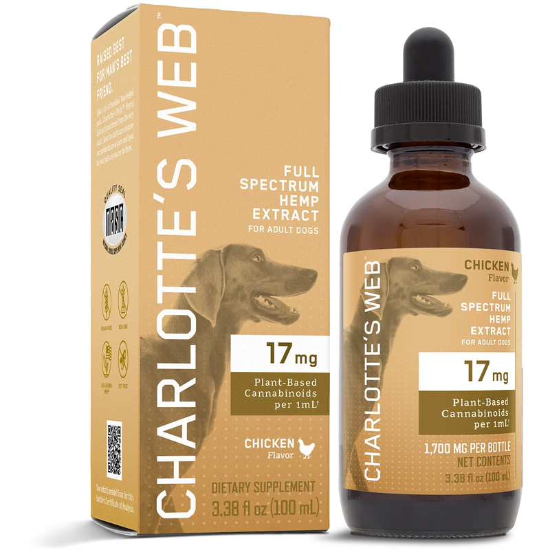 CBD Oil for Dogs