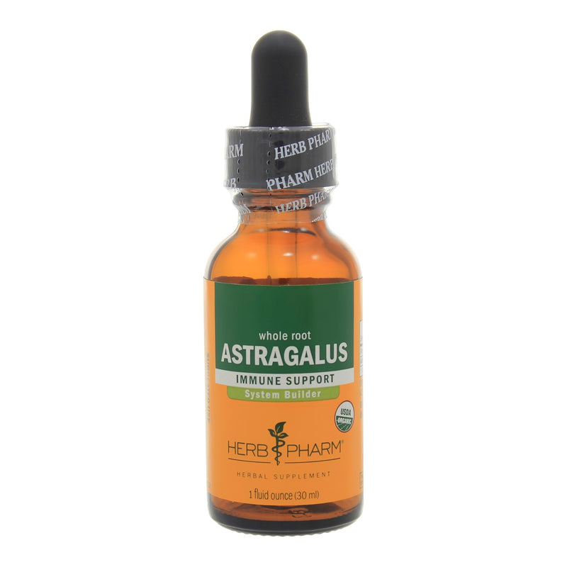 Astragalus