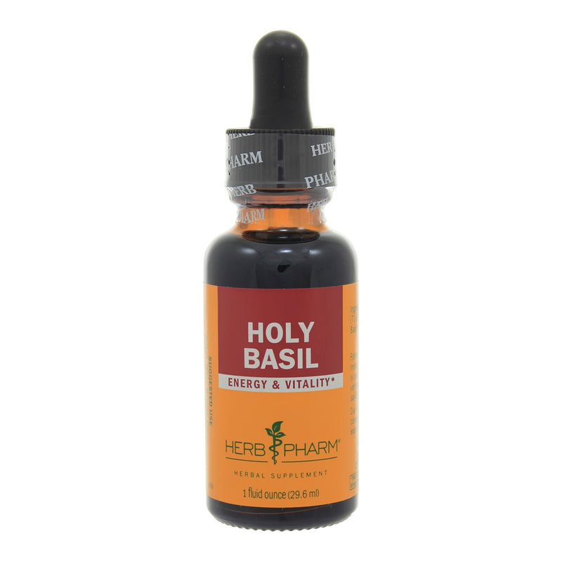 Holy Basil