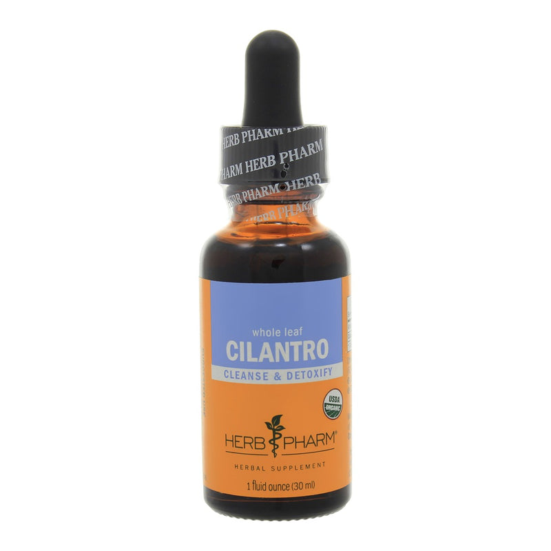Cilantro