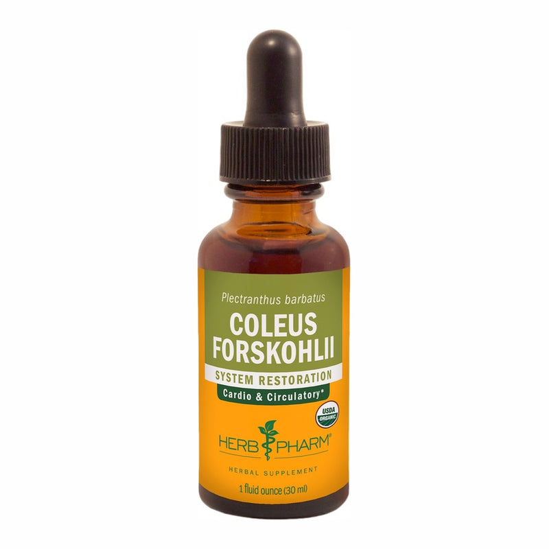 Coleus Forskohlii (30 ml)