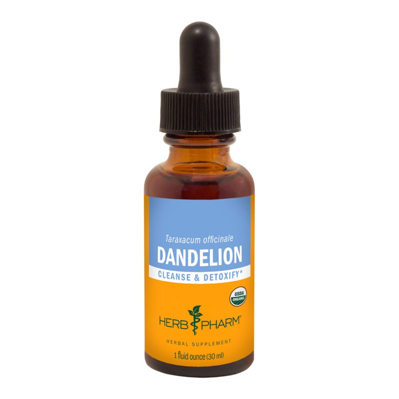 Dandelion