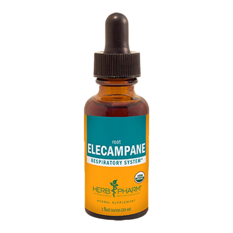 Elecampane