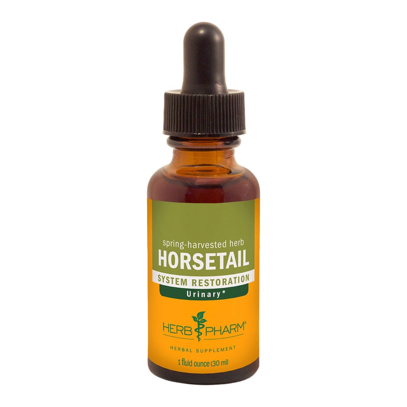 Horsetail