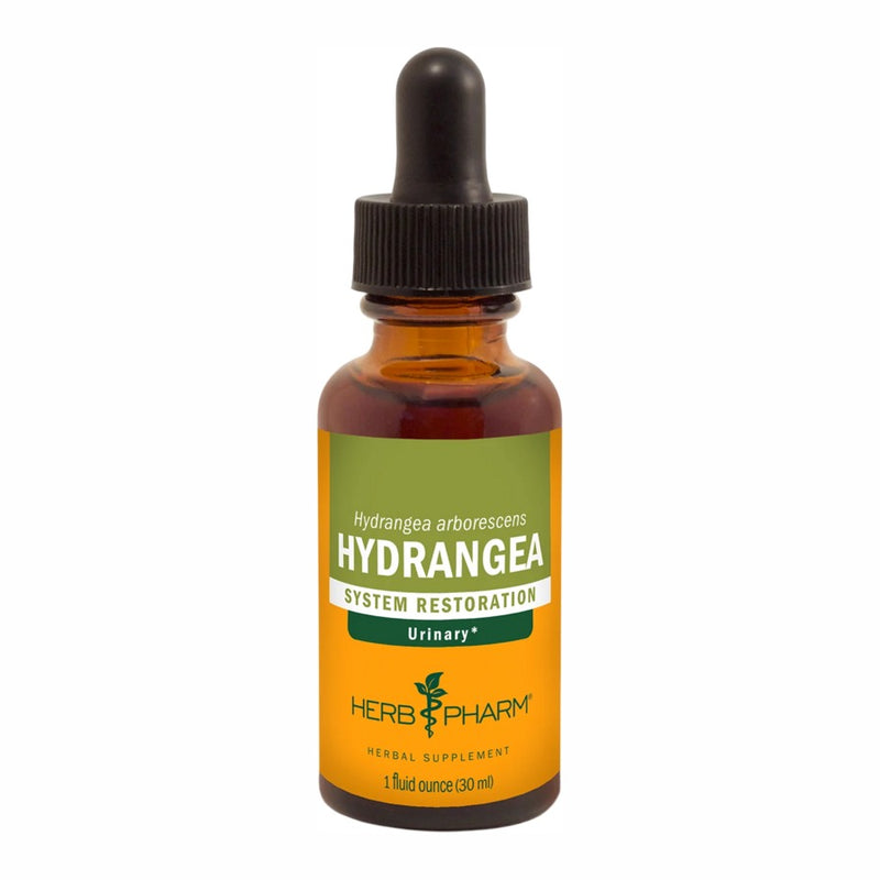 Hydrangea (30 ml)
