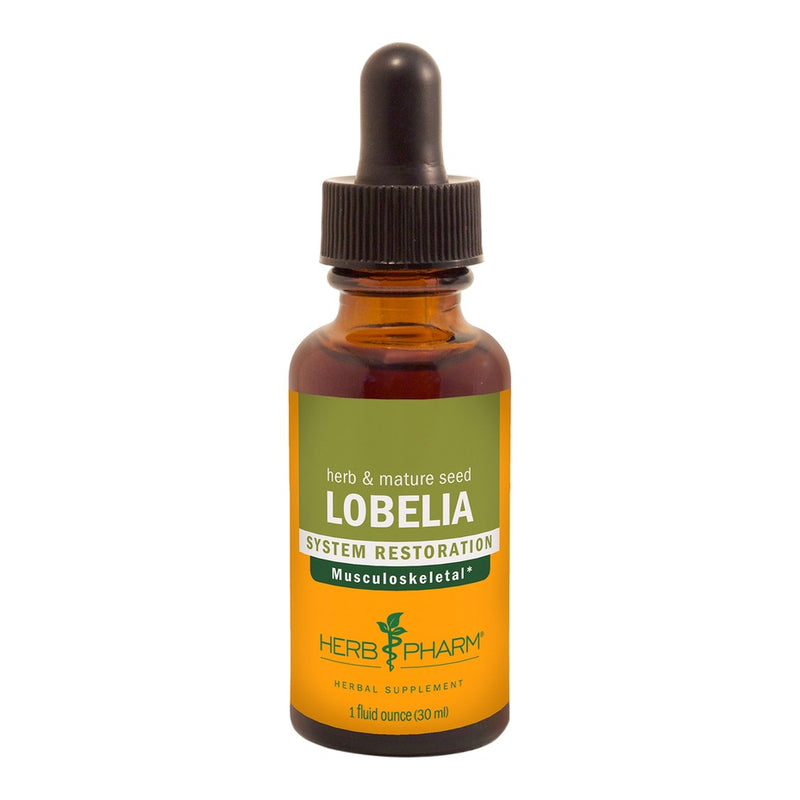 Lobelia