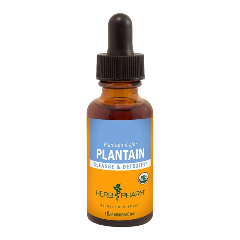 Plantain (30 ml)