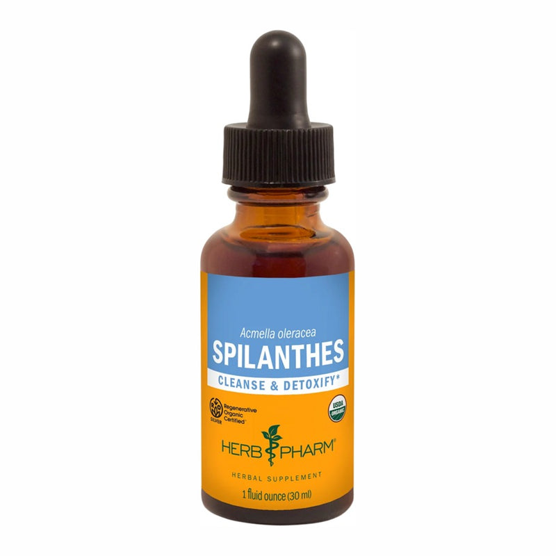 Spilanthes (30 ml)