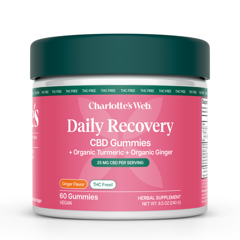Daily Recovery THC-Free CBD Gummies (Ginger) (25 mg) (60 Gummies)