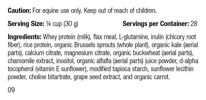 Equine GI Support, 30 oz (850 g)