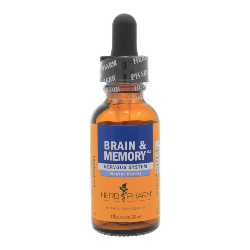 Brain and Memory