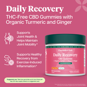 Daily Recovery THC-Free CBD Gummies (Ginger) (25 mg) (60 Gummies)