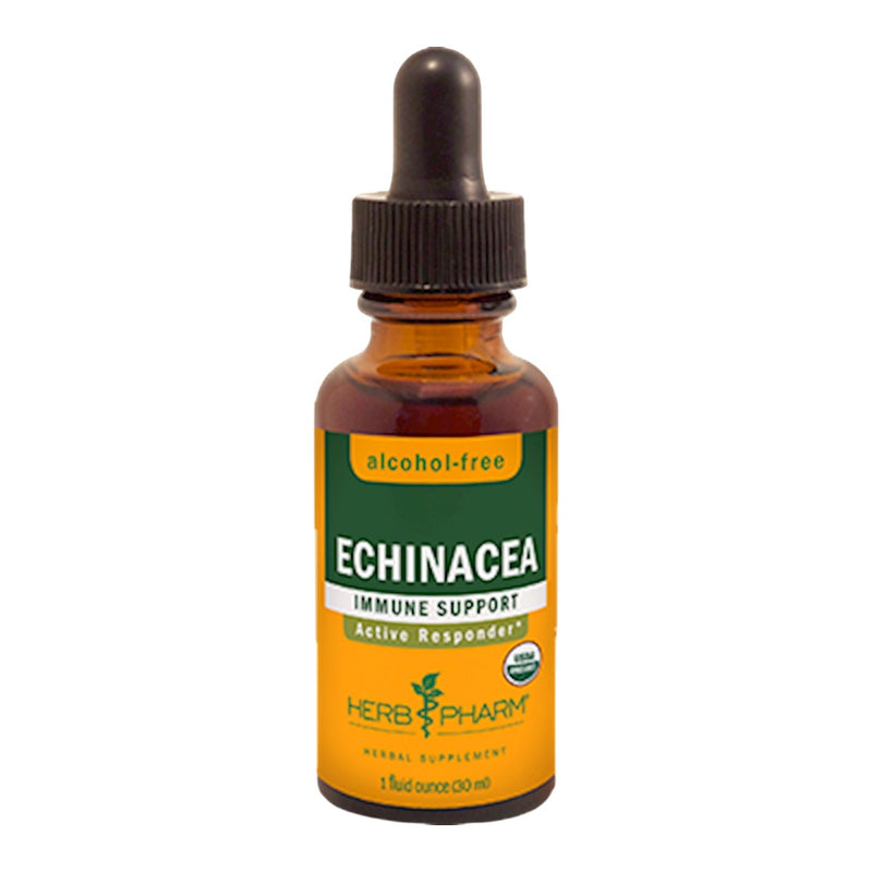 Echinacea Glycerite