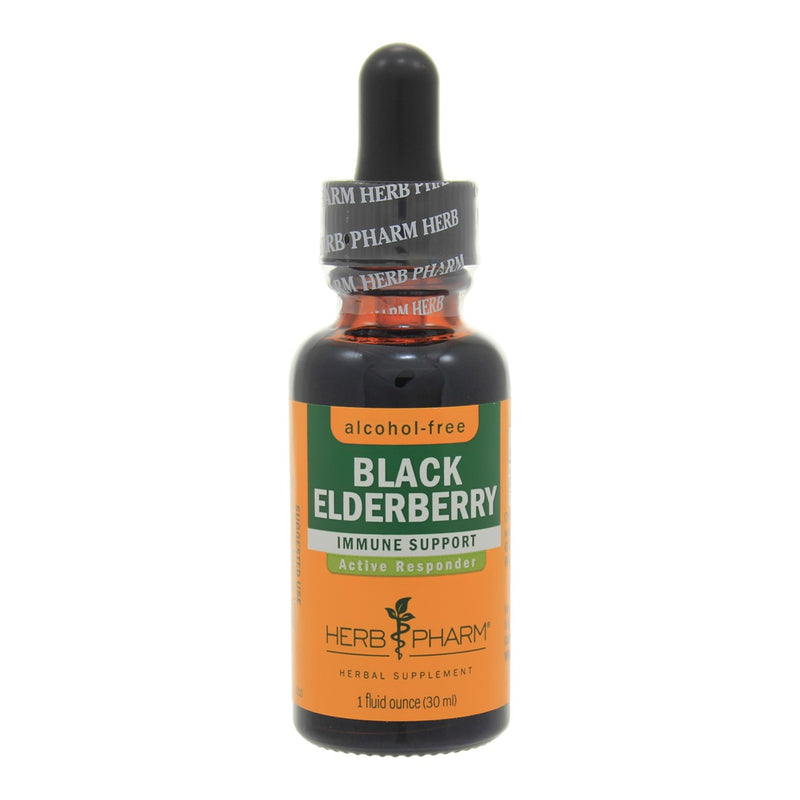 Black Elderberry Glycerite