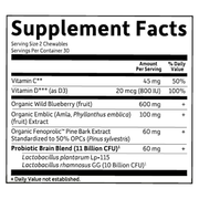 Dr. Formulated Brain Health Organic Attention/Focus Kids (60 Chewables)