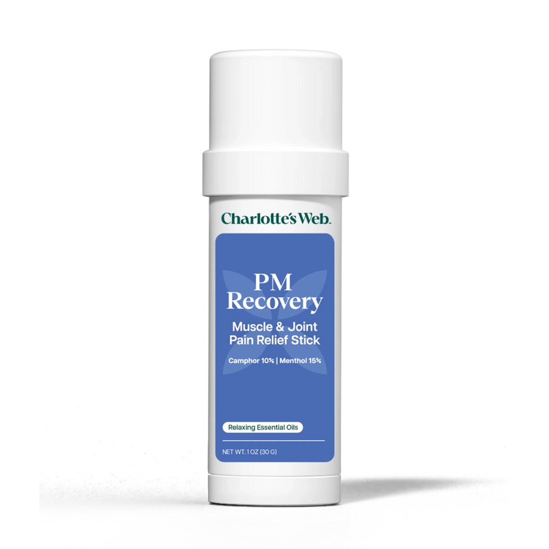 PM Recovery Muscle & Joint Pain Relief Stick (1 Ounce) (30 Grams)