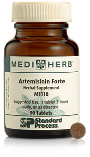 Artemisinin Forte, 90T