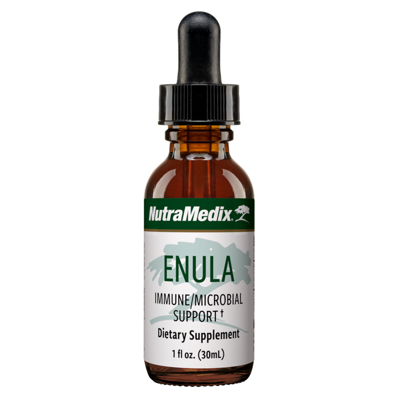 Enula