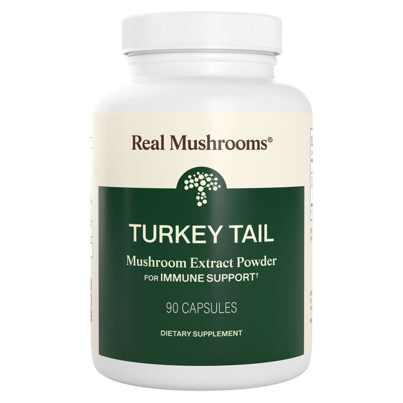 Turkey Tail Mushroom Capsules (90 Capsules)