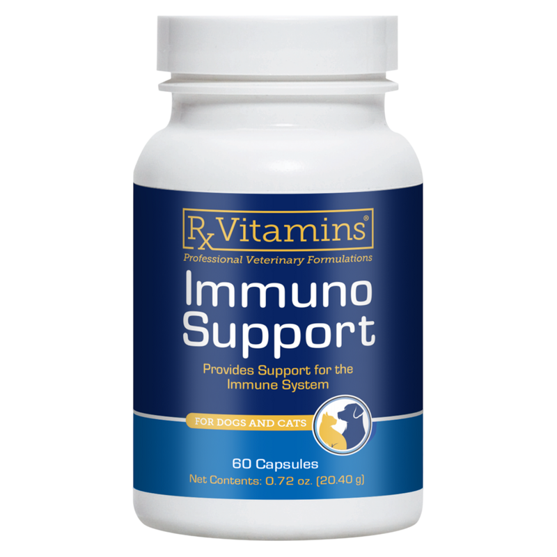 Immuno Support (60 Capsules)