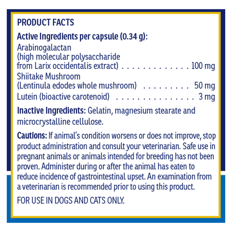 Immuno Support (60 Capsules)