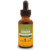 Ginger Liquid Extract (Zingiber officinale)
